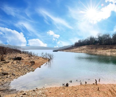 Bull Shoals Lake Home For Sale in Other Arkansas