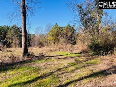 (private lake, pond, coastal) Acreage For Sale in Leesville South Carolina