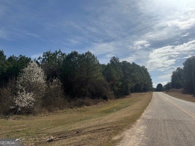 West Point Lake Acreage For Sale in Franklin Georgia