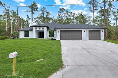 Lehigh Acres Area Home Sale Pending in Lehigh Acres Florida