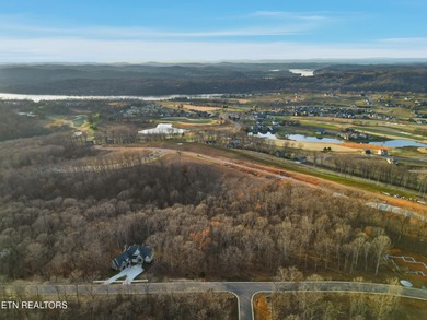 Don't miss your chance to own the largest lot on the street in - photo 9