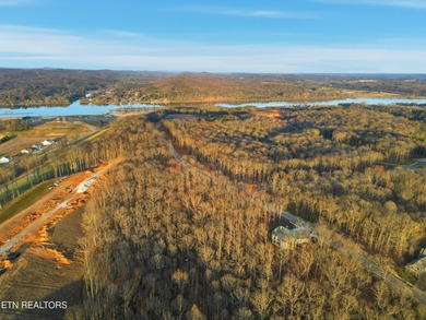 Don't miss your chance to own the largest lot on the street in - photo 10