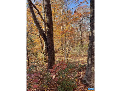 Lake Monticello Lot For Sale in Palmyra Virginia