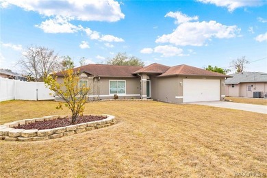 Move-In Ready Home in the Heart of Spring Hill! Welcome to this - photo 33
