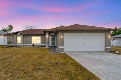 Move-In Ready Home in the Heart of Spring Hill! Welcome to this - photo 36