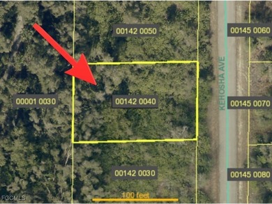 Lehigh Acres Area Lot For Sale in Lehigh Acres Florida