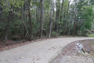 Lake Acreage For Sale in Madison, Mississippi