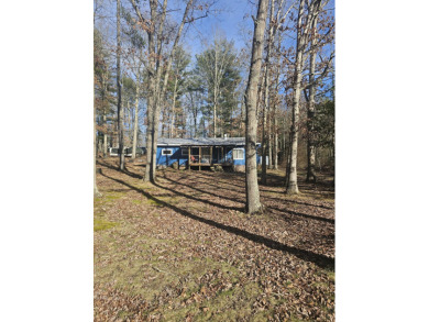 Moncove Lake Home For Sale in Gap Mills West Virginia