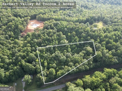 Lake Acreage For Sale in Toccoa, Georgia