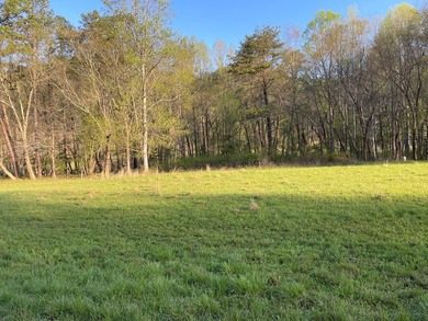 Level River Front lot on the Hiwassee River. Wide section of the - photo 3