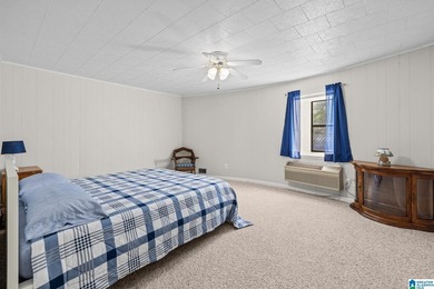 There's something about this Lake Mitchell property that - photo 28