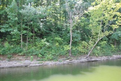 LAKE FRONT, LAKE VIEW & APPROVED FOR A BOAT SLIP! 10' PATH TO - Lake Lot For Sale in Scottsville, Kentucky