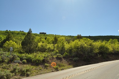 Witts Lake  Acreage For Sale in Heber City Utah