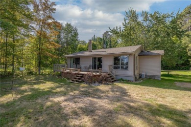 Lake Home For Sale in Hackensack, Minnesota