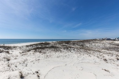 Welcome to the stunning unit 4315 at Gulf Shores Plantation! - photo 21