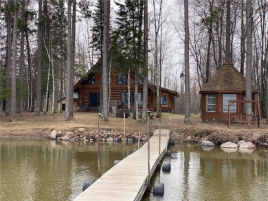 Lake Home For Sale in Waukenabo Twp, Minnesota