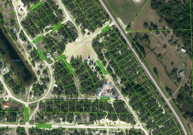 Lake Grassy Lot For Sale in Lake Placid Florida