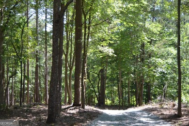 BUILDING YOUR DREAM HOME just got easier. This lot is located in - photo 7