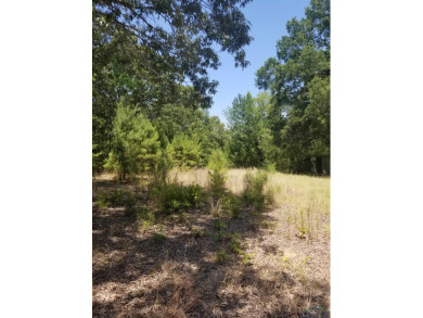 30 acres of East Texas with no restrictions. Electricity and - Lake Acreage For Sale in Quitman, Texas