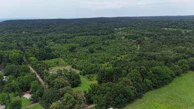Lake Dardanelle Acreage For Sale in New Blaine Arkansas