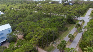 A slice of paradise in the highly coveted Plantation Community - photo 3