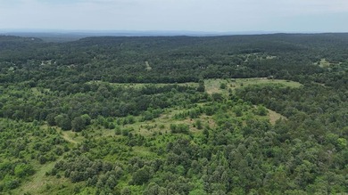 ract 1, 5+/- Acres Build Sites Near Shoal Bay Park Midwest Land - photo 8