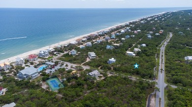 A slice of paradise in the highly coveted Plantation Community - photo 8