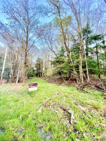 Lake Lot Off Market in Central City, Pennsylvania