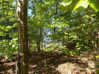 WATERFRONT-PRIVATE DOCKABLE-FRONTING ON SOAP CREEK-NO HOA-HAS - photo 2