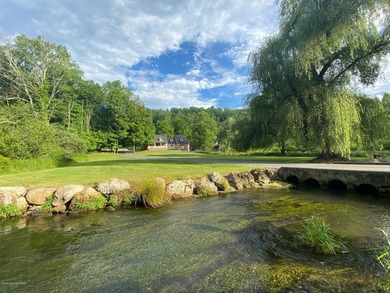 60 Acre Stream front Private Estate in Cherry Valley. This - photo 22