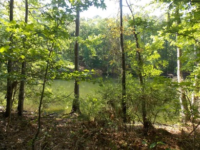 WATERFRONT-PRIVATE DOCKABLE-FRONTING ON SOAP CREEK-NO HOA-HAS - photo 3
