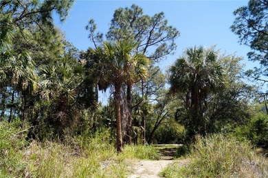 Build-ready 0.30-acre single-family residential lot in - photo 3
