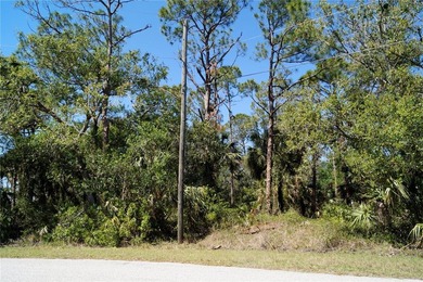 Build-ready 0.30-acre single-family residential lot in - photo 4