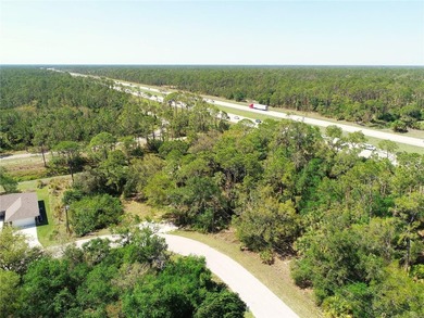 Build-ready 0.30-acre single-family residential lot in - photo 5