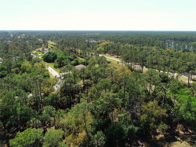 Build-ready 0.30-acre single-family residential lot in - photo 6