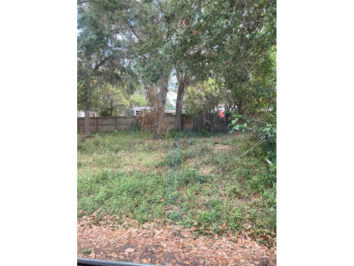 Lake Lot Off Market in Lake Alfred, Florida