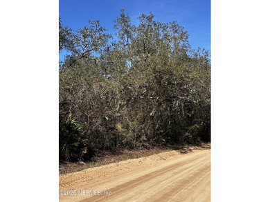 (private lake, pond, coastal) Acreage For Sale in Keystone Heights Florida