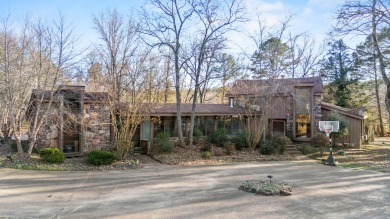Lake Dardanelle Home For Sale in Dardanelle Arkansas