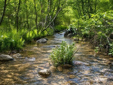 Nestled on 3.45 private acres in Wilderness Ranch on Daggett - photo 13
