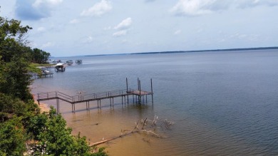 Lake Lot For Sale in Abbeville, Alabama