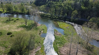 Commanding Views of the East Branch of the Delaware River! This - photo 11