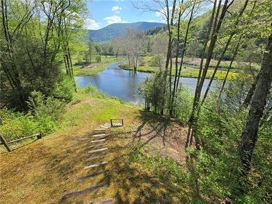 Commanding Views of the East Branch of the Delaware River! This - photo 13