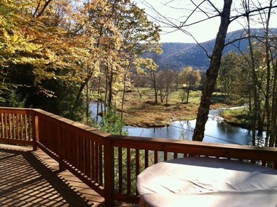 Commanding Views of the East Branch of the Delaware River! This - photo 22