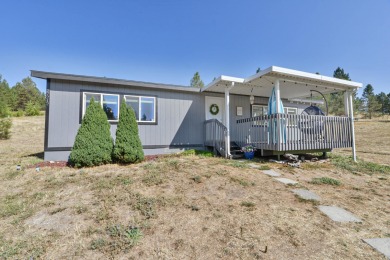 Lake Home For Sale in Chattaroy, Washington