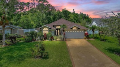 Lake Home Sale Pending in Davenport, Florida