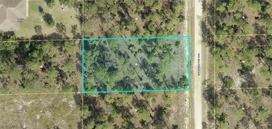 Lehigh Acres Area Lot For Sale in Lehigh Acres Florida