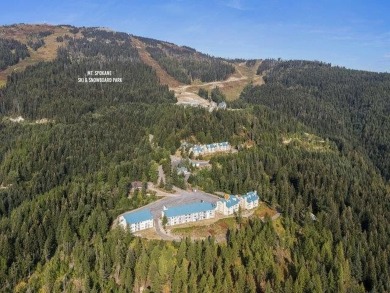 Lake Condo For Sale in Mead, Washington