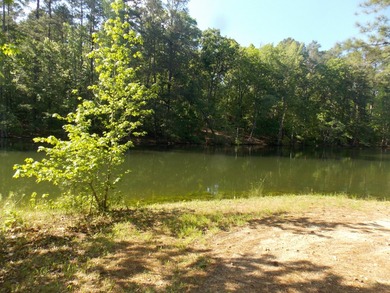 WATERFRONT -PRIVATE DOCKABLE-NO HOA-HAS - photo 1