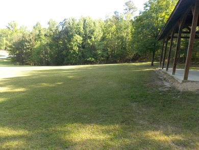 WATERFRONT -PRIVATE DOCKABLE-NO HOA-HAS - photo 4