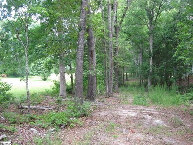 This property is a dream come true. Approx. a 2 1/2 to 3 acre - photo 12
